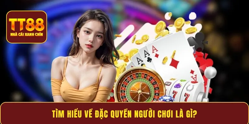 Tìm hiểu về đặc quyền người chơi là gì?